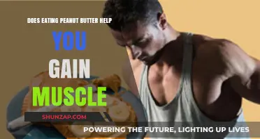 Peanut Butter and Muscle Gain: Fact or Fiction?