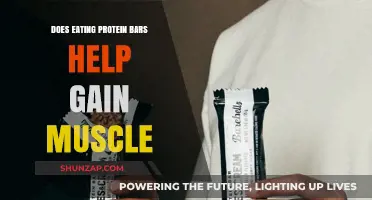 Can Protein Bars Effectively Support Muscle Gain? A Comprehensive Analysis