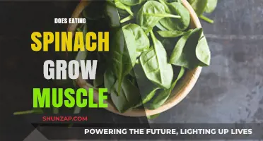 Spinach and Muscle Growth: Fact or Fiction? Unveiling the Truth