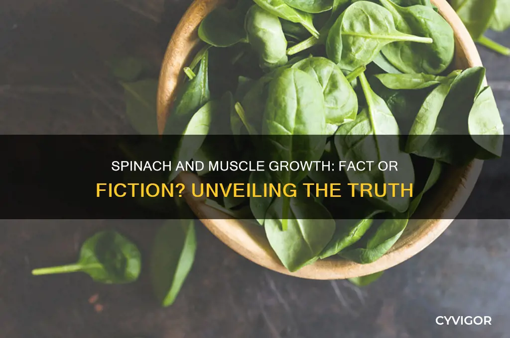 does eating spinach grow muscle