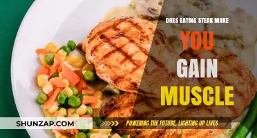Steak and Muscle Gain: Fact or Fiction? Unraveling the Truth