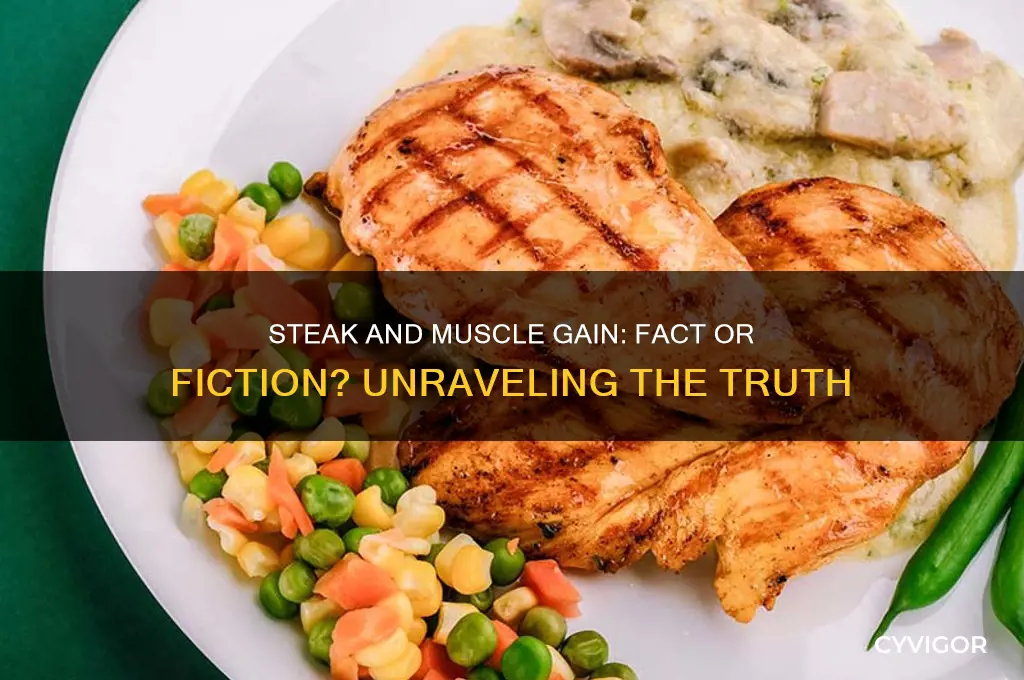 does eating steak make you gain muscle