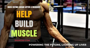 Sweet Success: The Truth About Sugar and Muscle Building Post-Workout