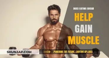 Sugar and Muscle Gain: Fact or Fiction for Fitness Enthusiasts?