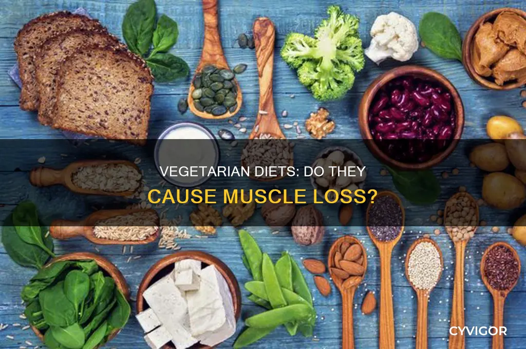 does eating vegetarian cause muscle loss