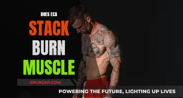 ECA Stack: Muscle Burn or Weight Loss Wonder?