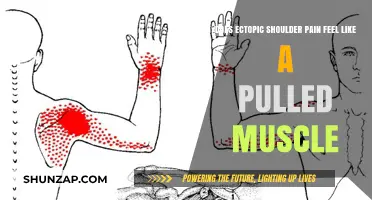 Ectopic Shoulder Pain vs. Pulled Muscle: Understanding the Difference