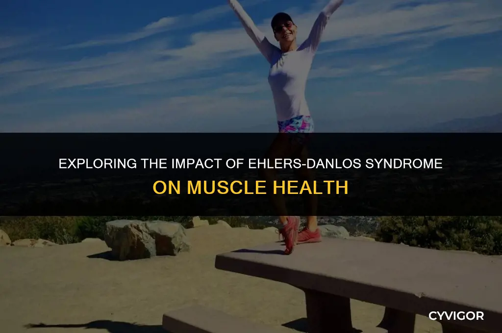 does eds affect muscles