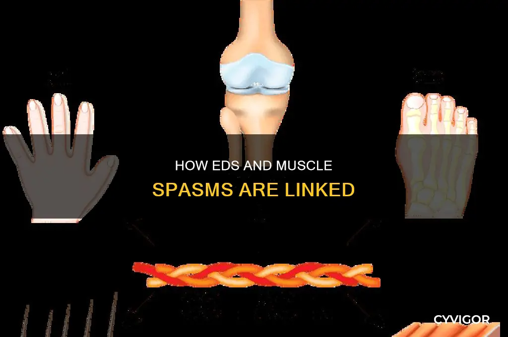 does eds cause muscle spasms