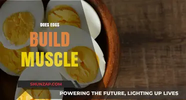Cracking the Myth: Do Eggs Really Build Muscle?