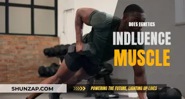 Genetics and Muscle Growth: What's the Real Influence?