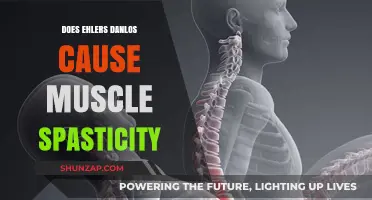 Ehlers-Danlos and Muscle Spasticity: What's the Connection?