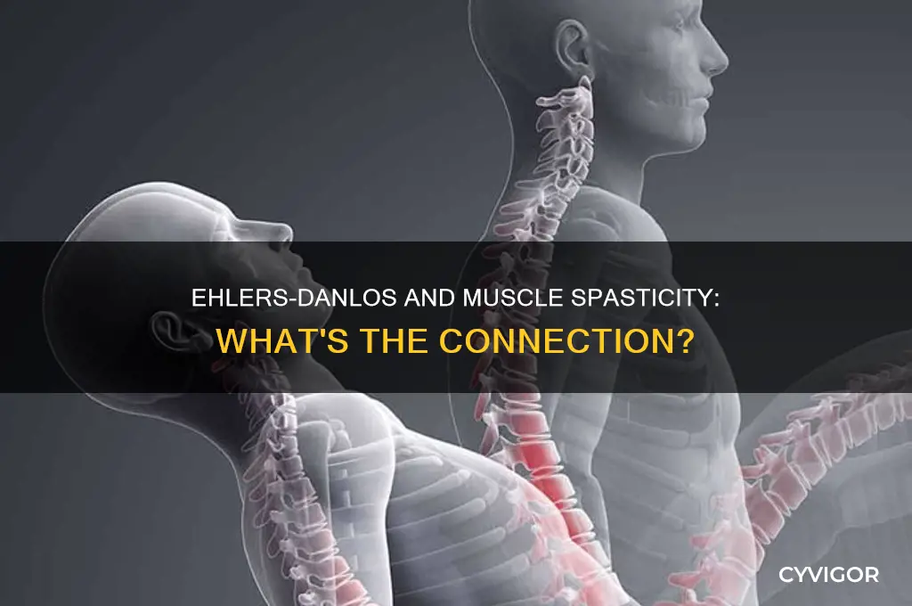 does ehlers danlos cause muscle spasticity