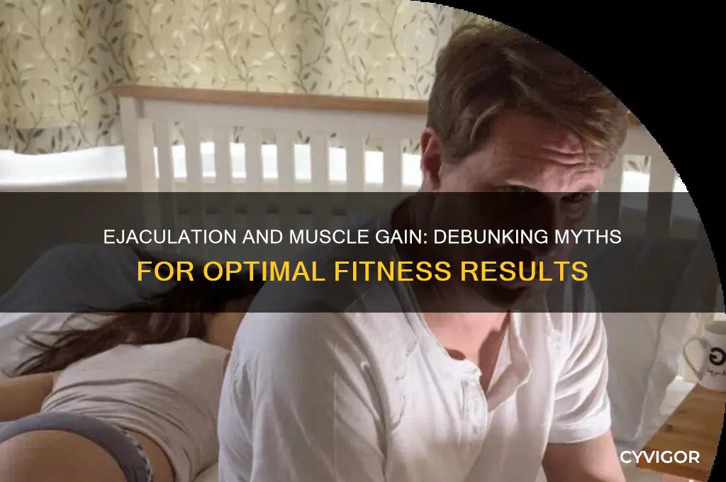 does ejaculation affect muscle gain