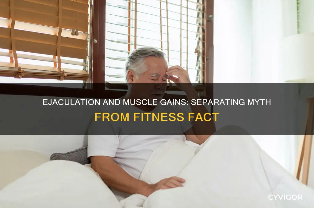 does ejaculation kill muscle gains