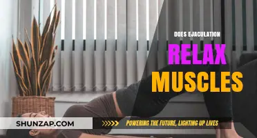 Ejaculation and Muscle Relaxation: Unraveling the Science Behind the Release