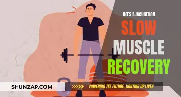 Ejaculation's Impact on Muscle Recovery: Friend or Foe?