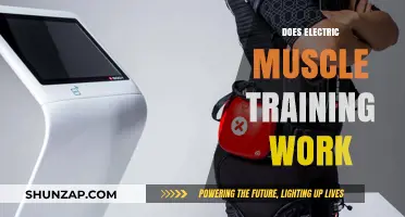 Does Electric Muscle Training Deliver Real Results? A Comprehensive Review