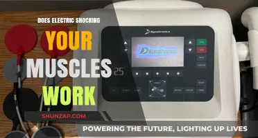 Electric Muscle Stimulation: Effective Workout Boost or Just a Fad?