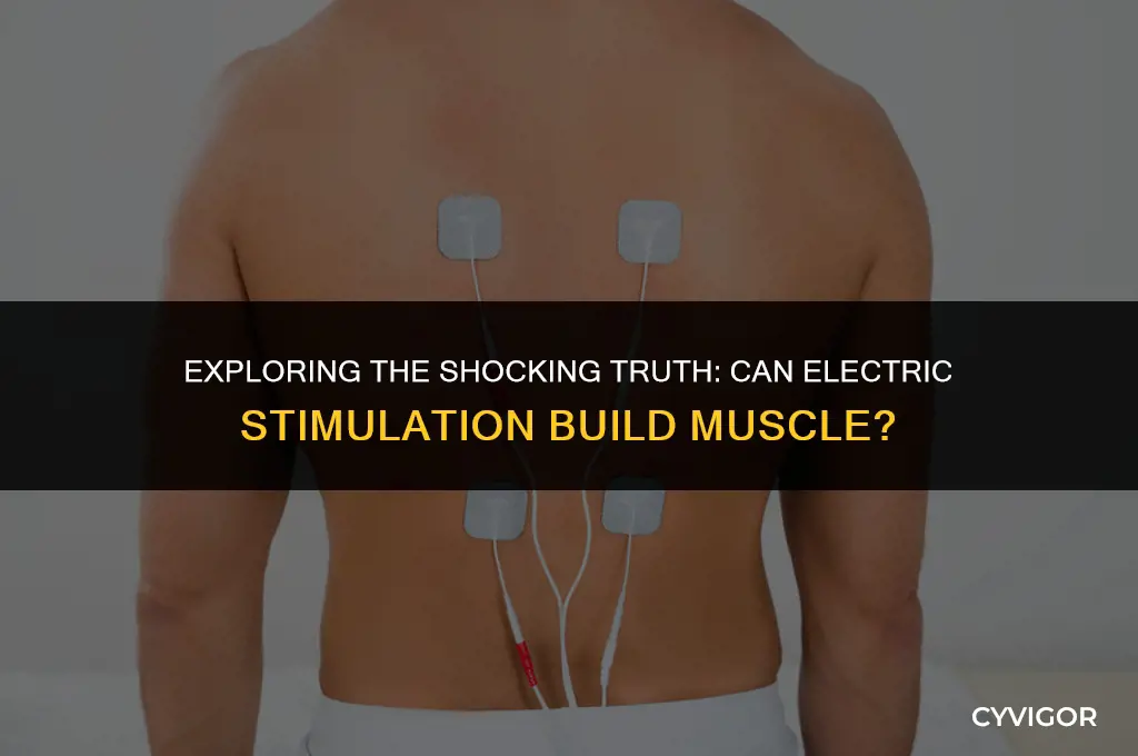 does electric stim build muscle