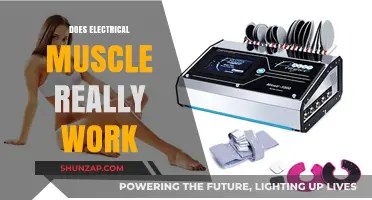 Do Electrical Muscle Stimulators Deliver Real Results? Uncovering the Truth