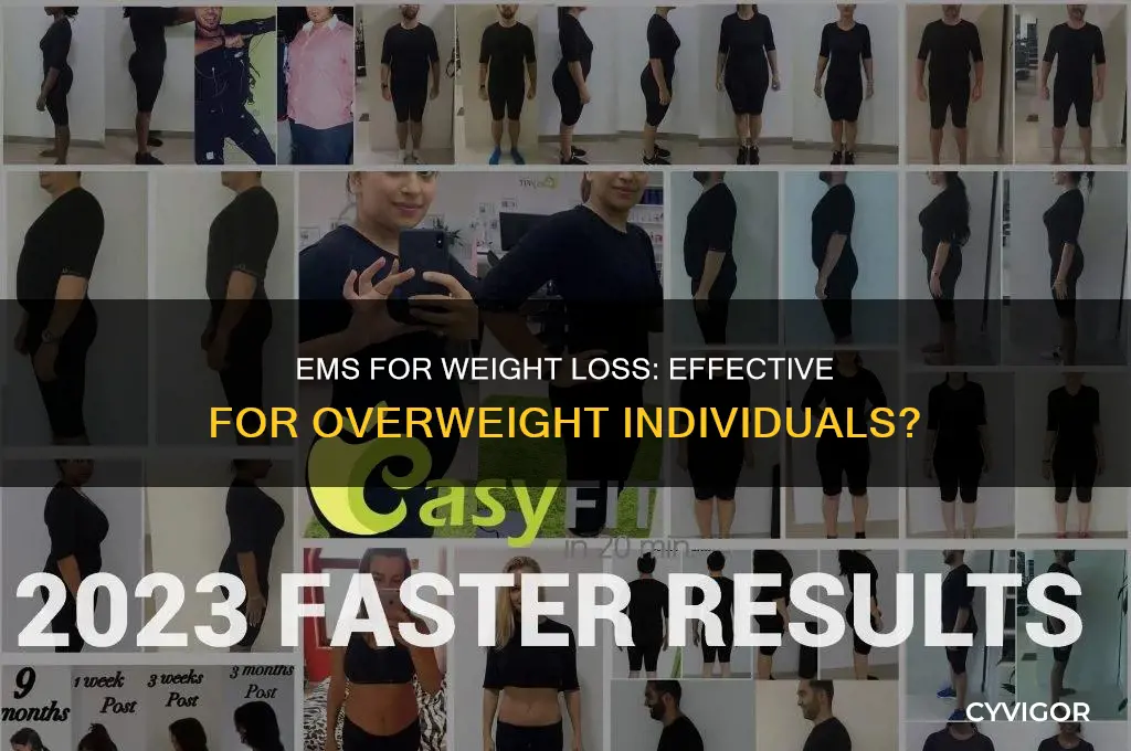 does electrical muscle stimulation work for overweight people