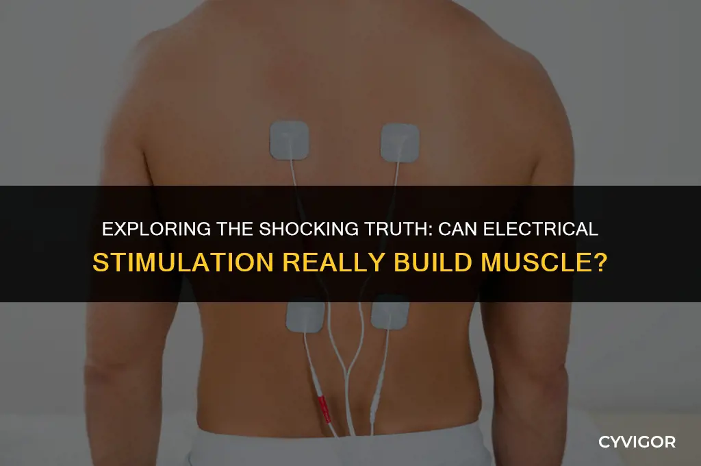 does electrical stimulation build muscle