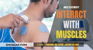 Electricity's Muscular Impact: Understanding the Intricate Interaction