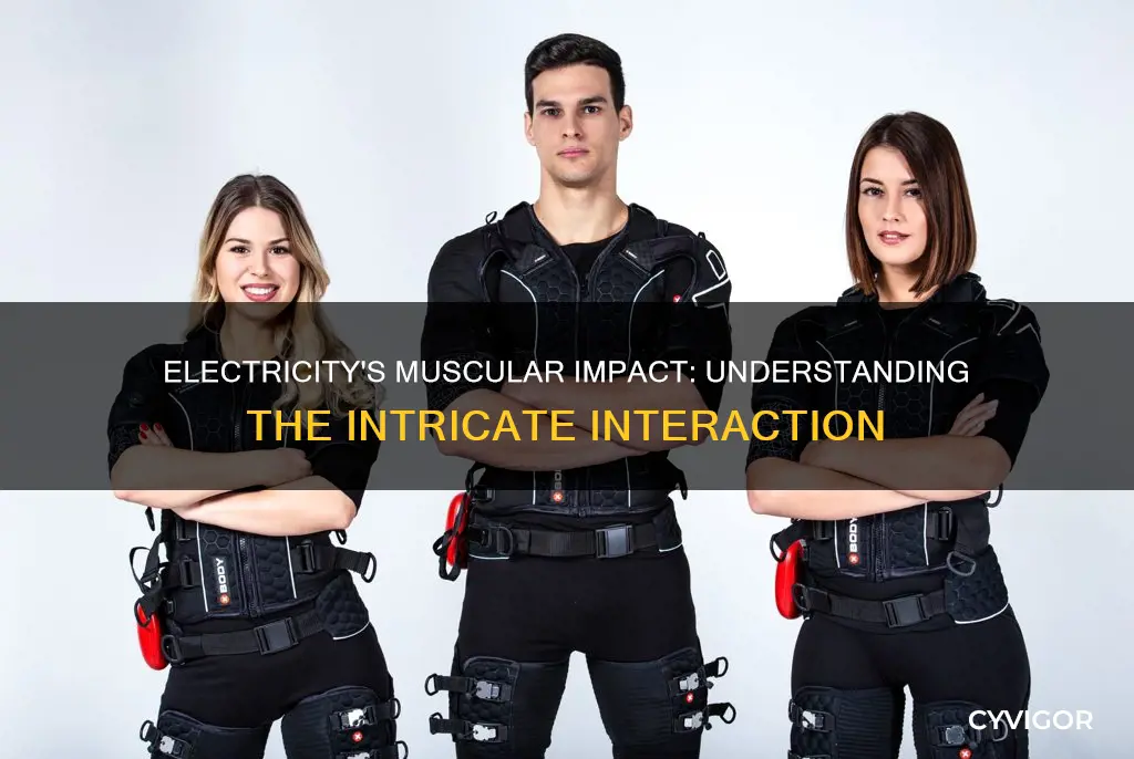 does electricity interact with muscles