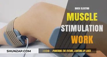 Does Electro Muscle Stimulation Work? Unveiling the Truth and Benefits