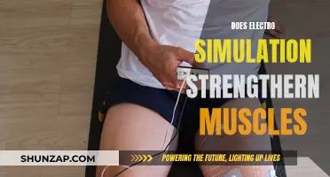 Electrical Muscle Stimulation: Effective Strength Training?