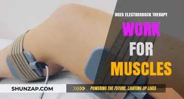 Electrical Muscle Stimulation: Effective Therapy or Just a Fad?