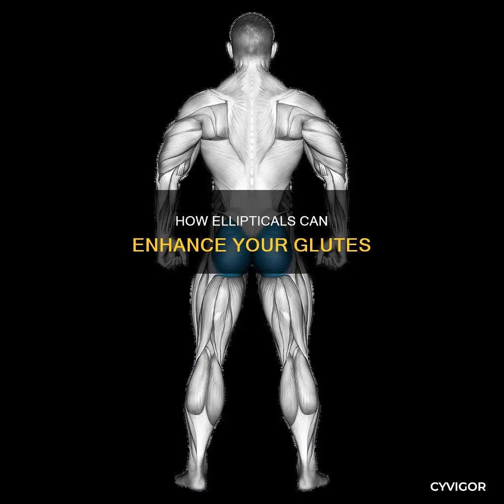 does elipticsl improve butt muscles