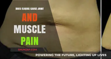 Elixis and Joint Pain: What's the Connection?