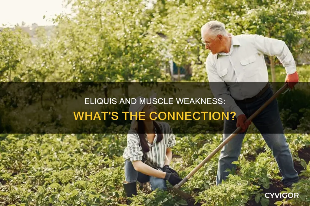 does eliquis cause muscle weakness