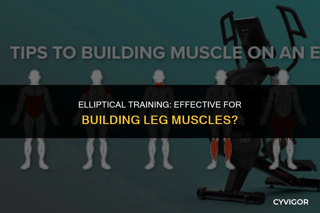 does elliptical build leg muscle