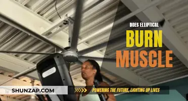 Elliptical Workouts: Burning Muscle or Just Fat?