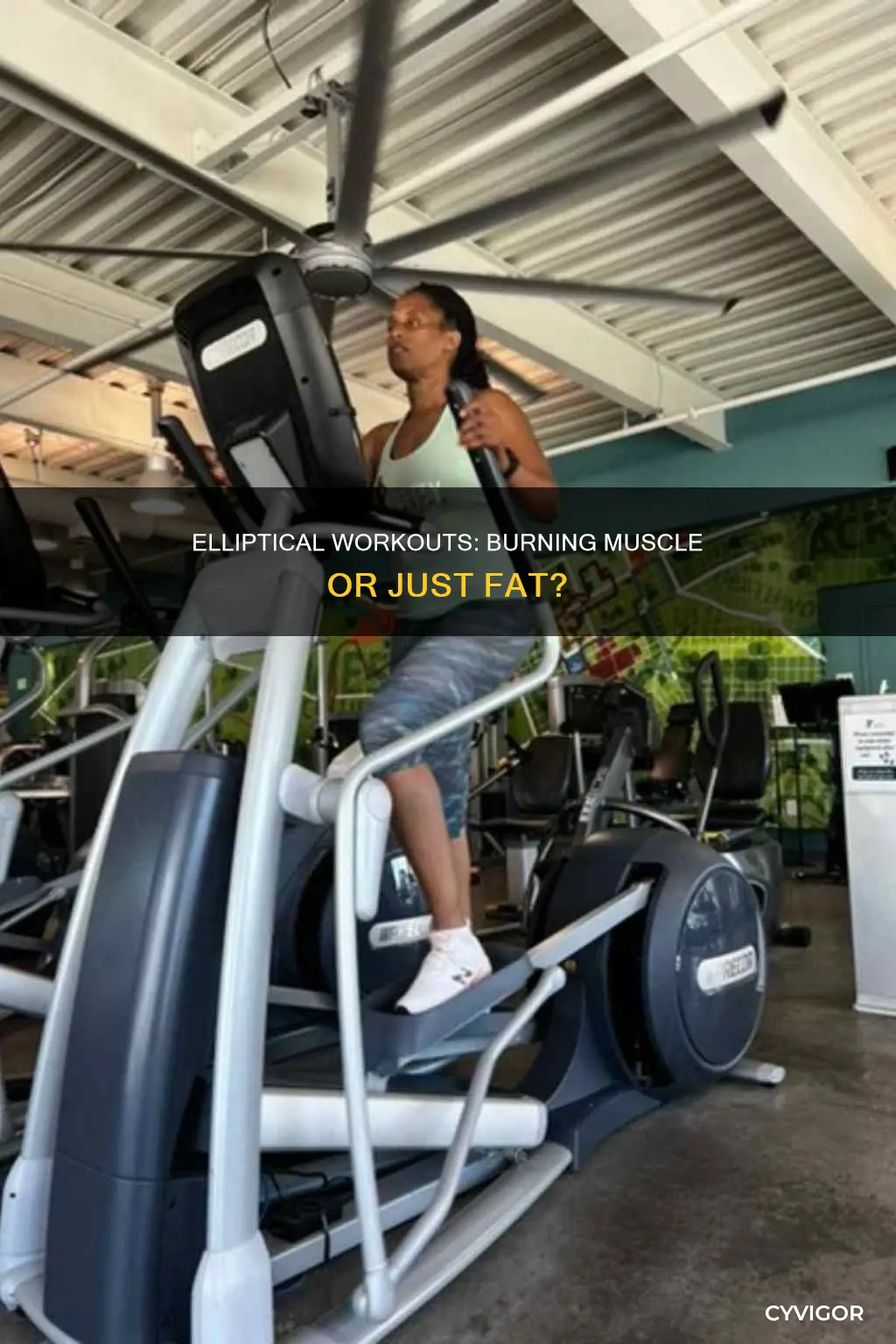 does elliptical burn muscle