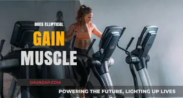 Elliptical Training for Muscle Growth: Fact or Fiction?