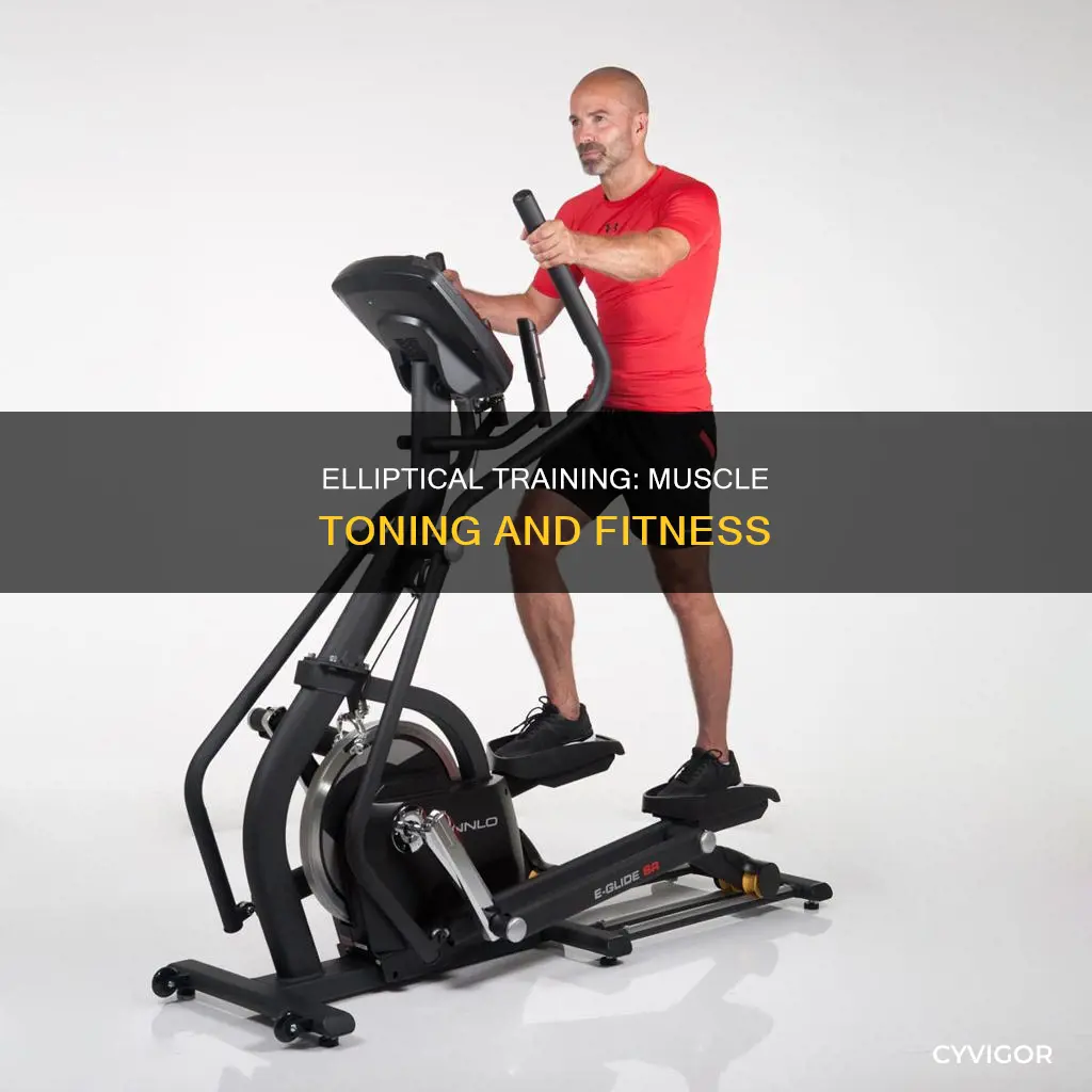 does elliptical tone muscles