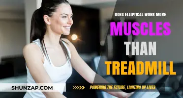 Elliptical vs. Treadmill: Which Works More Muscles Effectively?