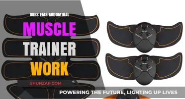 EMS Abdominal Muscle Trainer: Effective Workout Tool or Just a Fad?