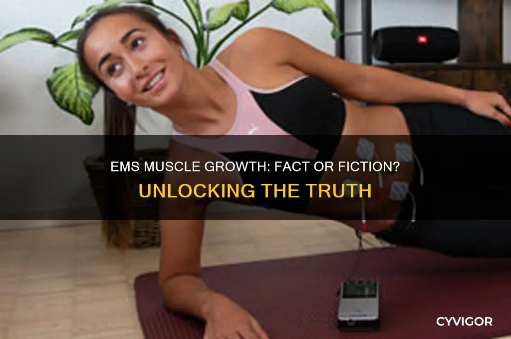 does ems grow muscle