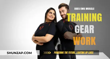 Does EMS Muscle Training Gear Deliver Real Results? A Comprehensive Review