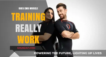 EMS Muscle Training: Effective Workout or Overhyped Fitness Trend?