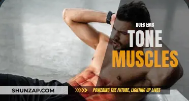 Ems' Impact: Toned Muscles or Just a Buzz?