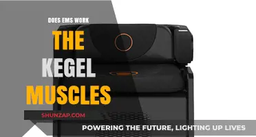 EMS and Kegel Muscles: Effective Training or Just a Trend?
