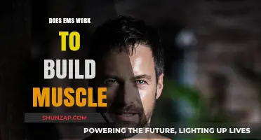 EMS Training: Effective Muscle Building or Just a Fad?