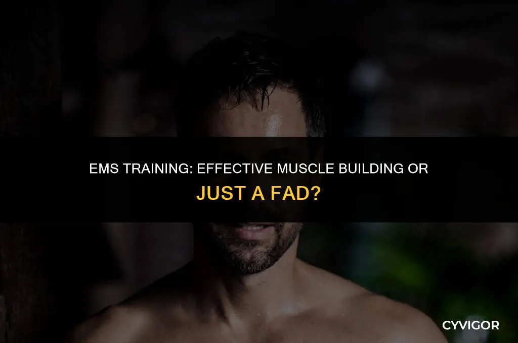 does ems work to build muscle