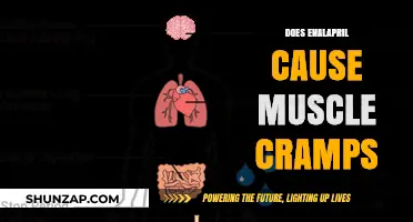 Enalapril Side Effects: Muscle Cramps Explained